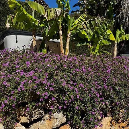 Bliss - Luxury 4-bedroom With Garden, Private Pool & Jacuzzi, Marbesa Near- 5 Min To The Cabopino Villa *